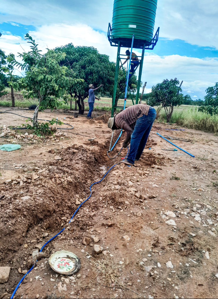 Solar Pump 3